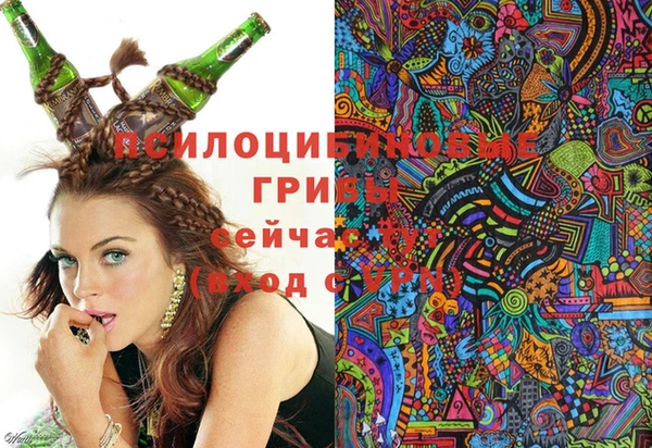 ГАЛЛЮЦИНОГЕННЫЕ ГРИБЫ Новокубанск
